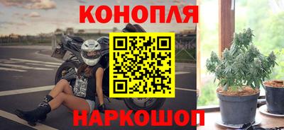 гидра Краснодар